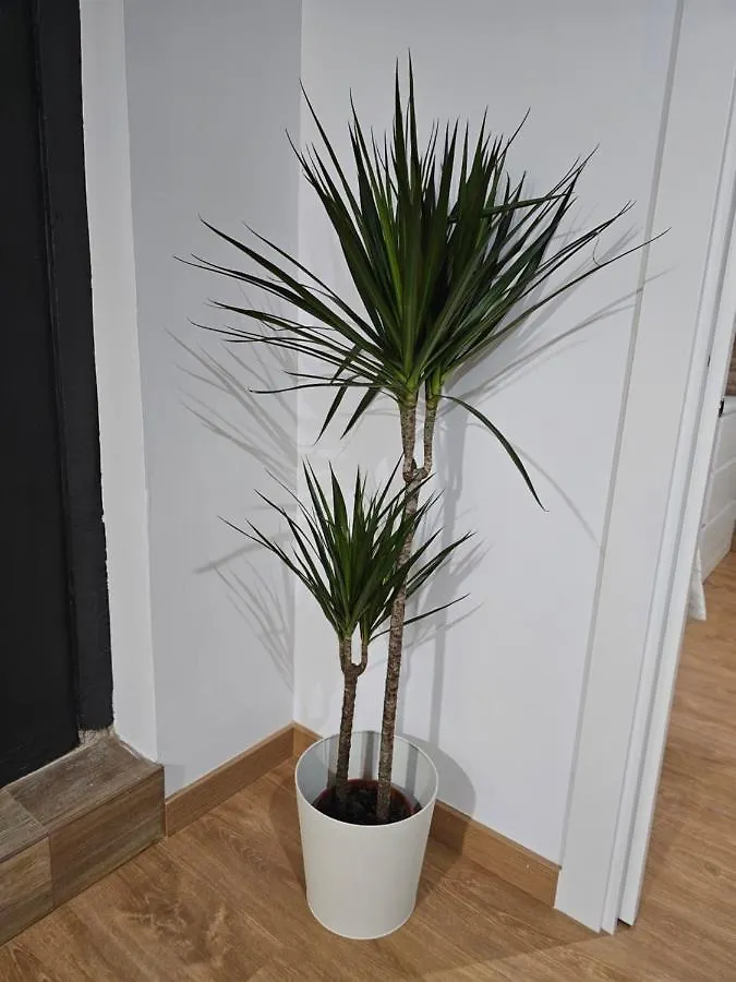 Permar Plz Apartment Barcelona Spain